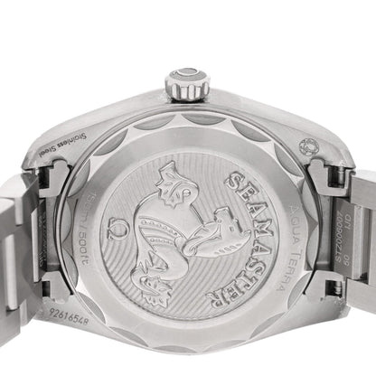 Stainless Steel Diamond 28mm Seamaster Aqua Terra Quartz Watch Silver 220.10.28.60.54.001